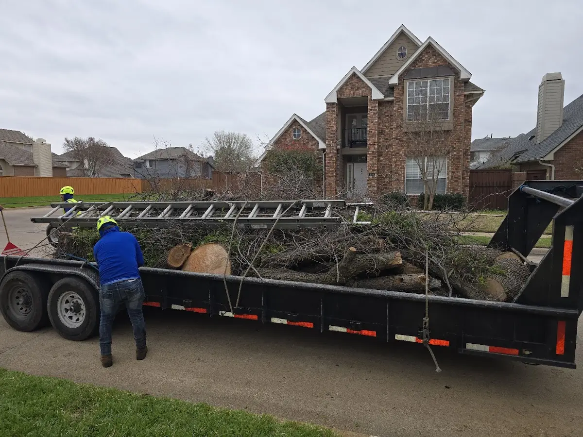 Expert Lot Clearing with proper safety equipment in Alpha